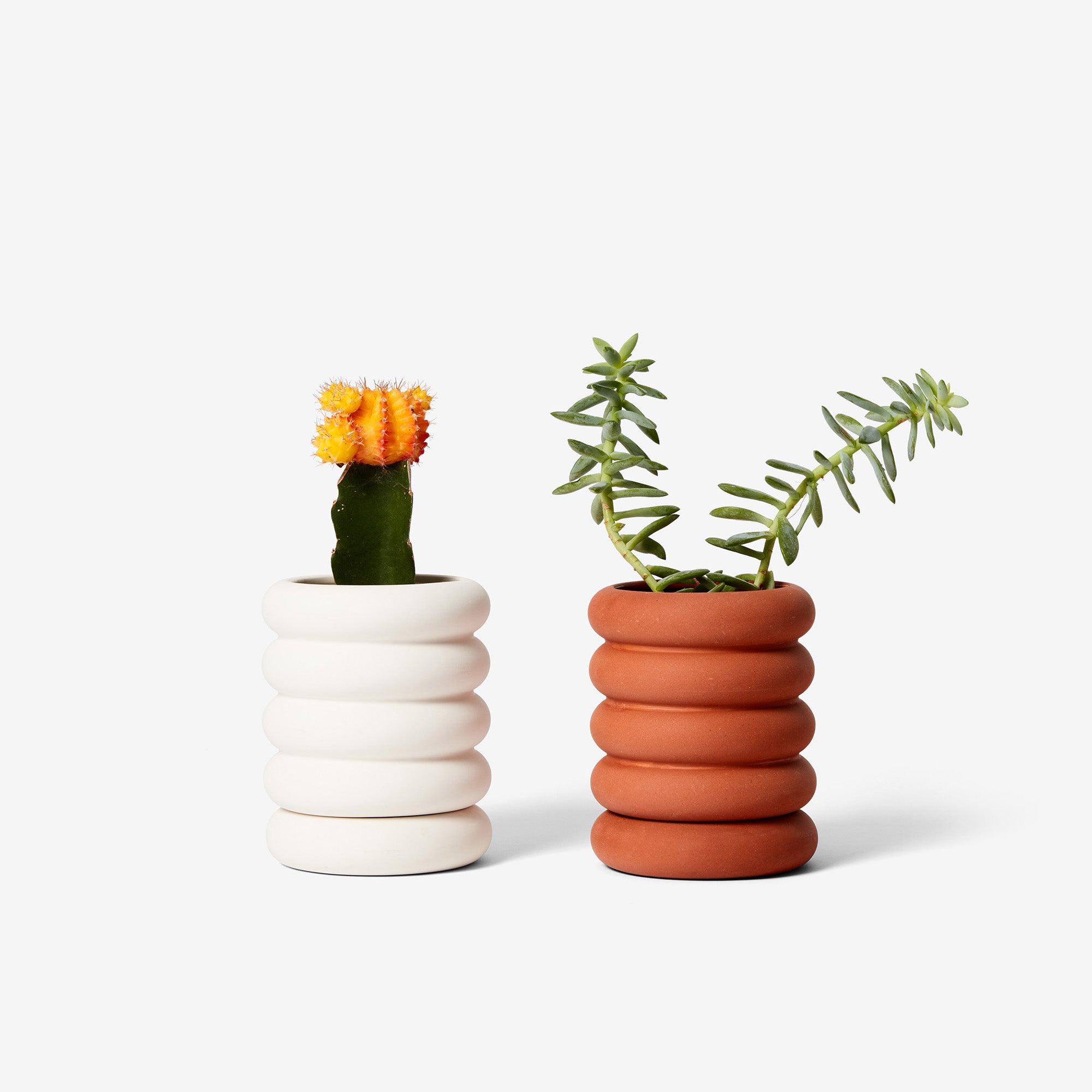 Stacking Planter with tiered volumes conceals built-in water saucer