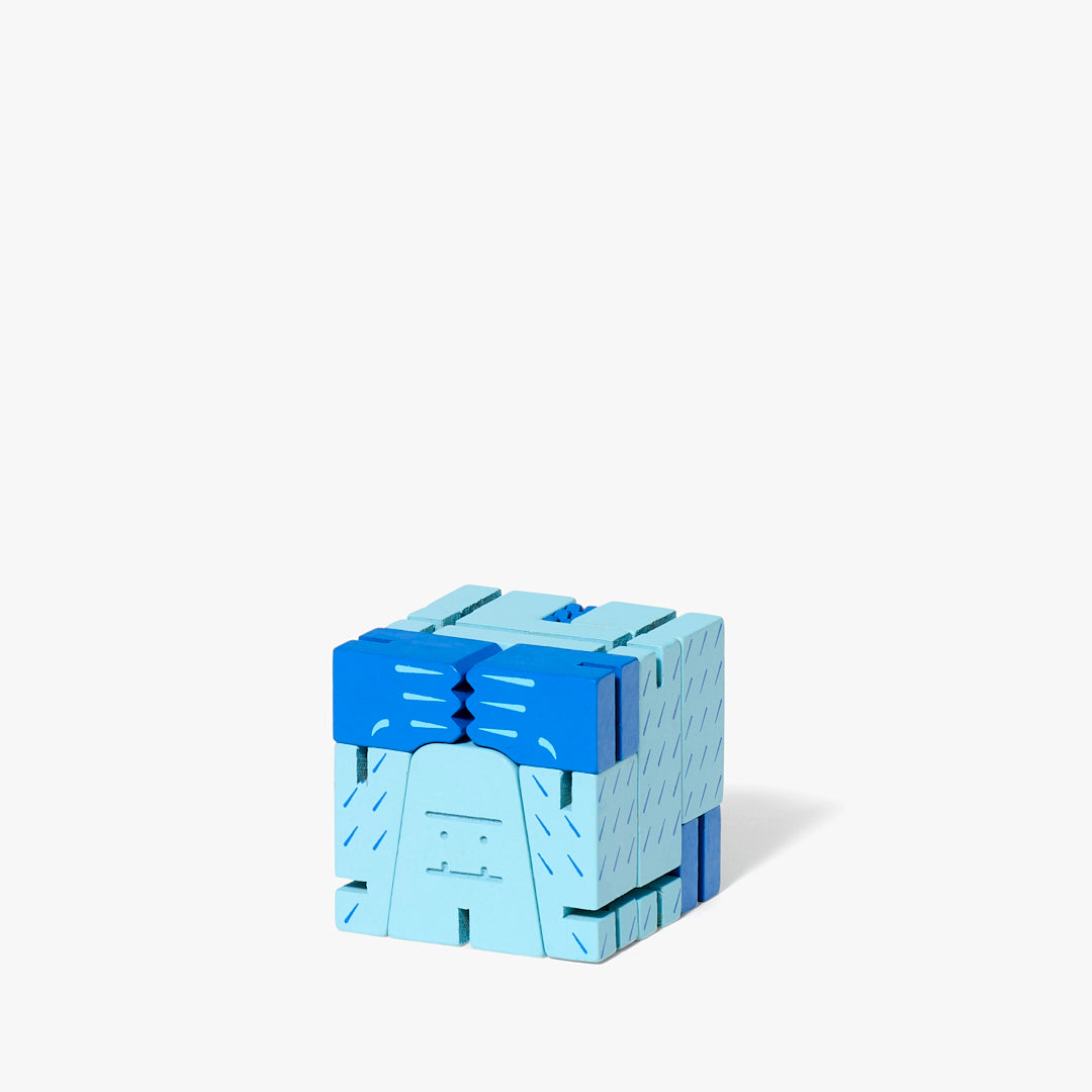 Cubebot® Cryptoids