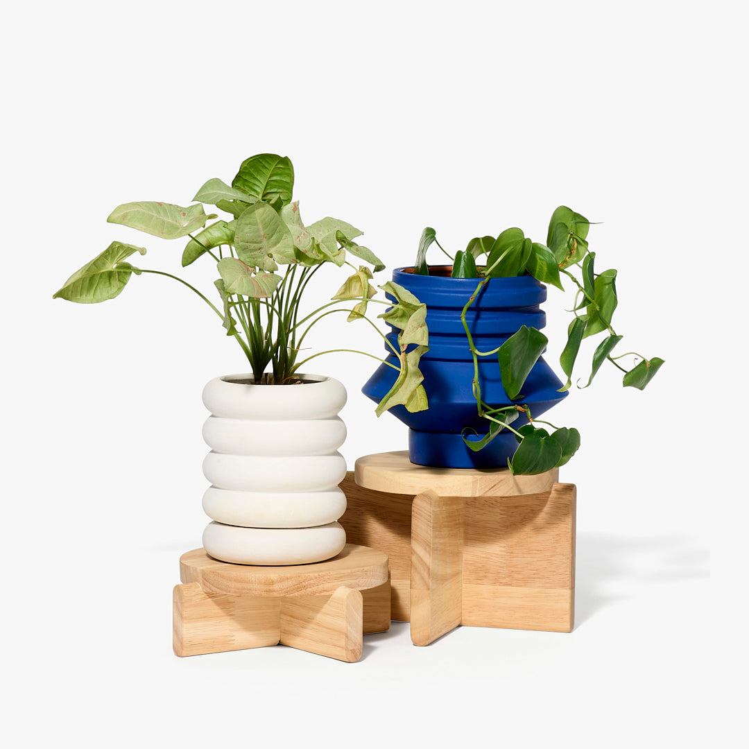 Plant Pedestals