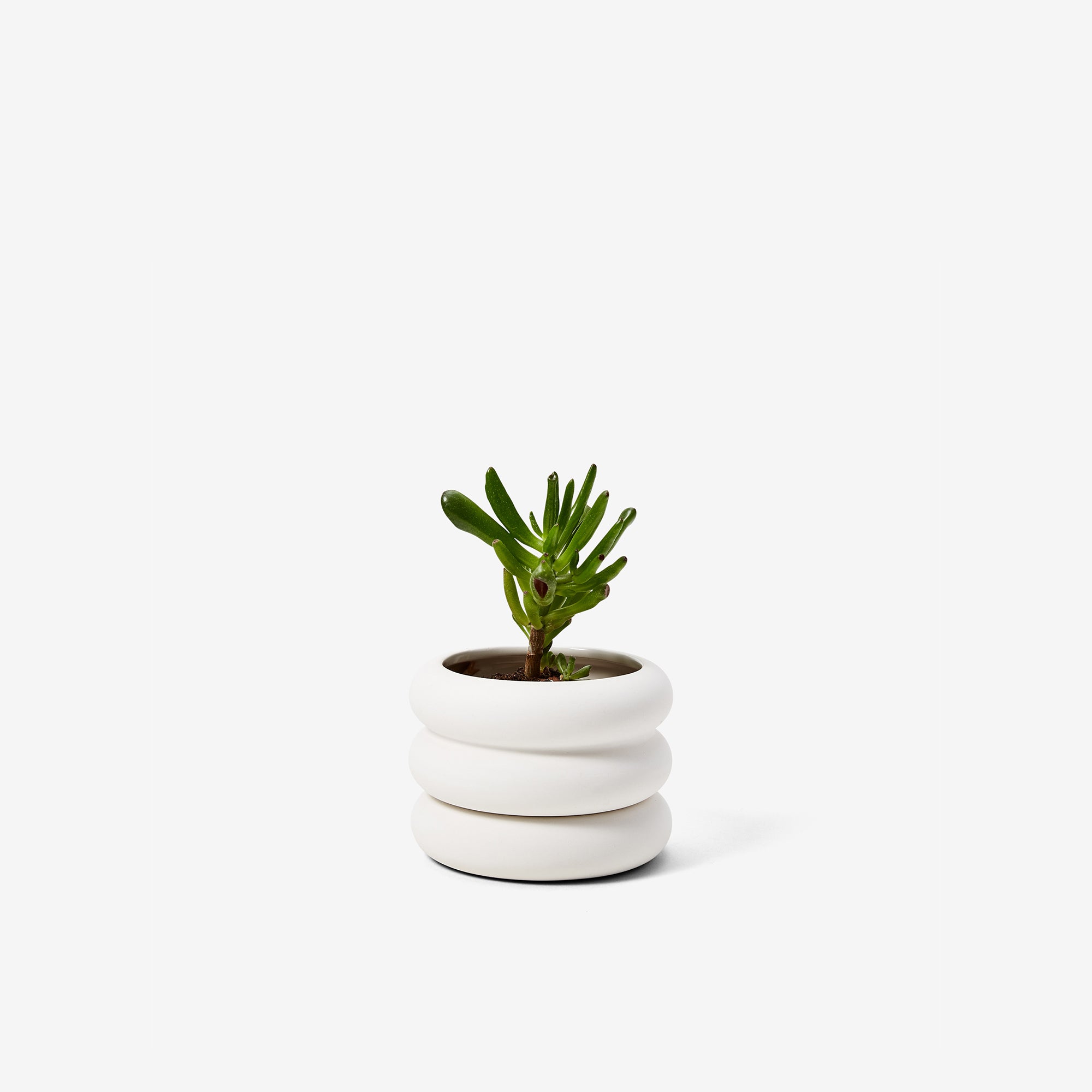 Stacking Planter Mini - Short