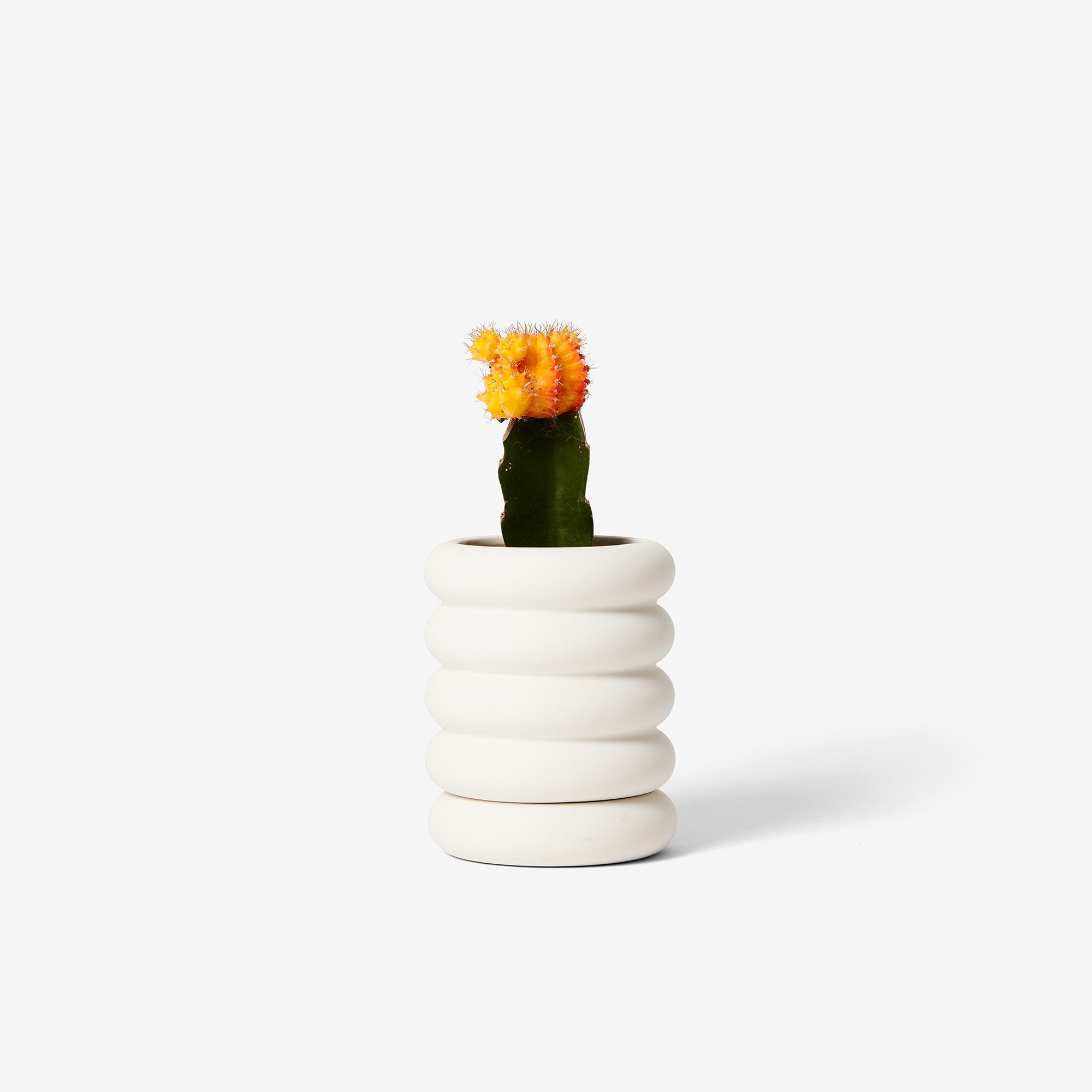 Stacking Planter Mini - Tall